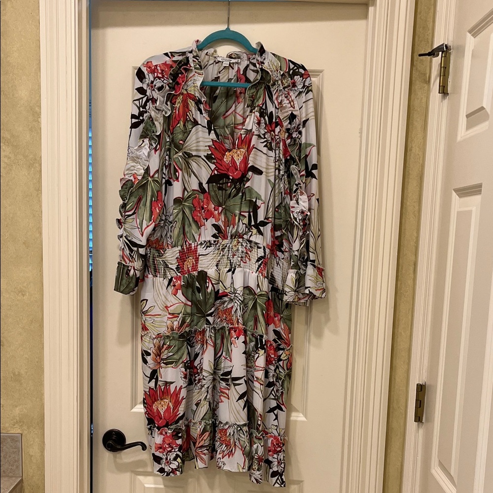 Chico's Multicolor Floral dress